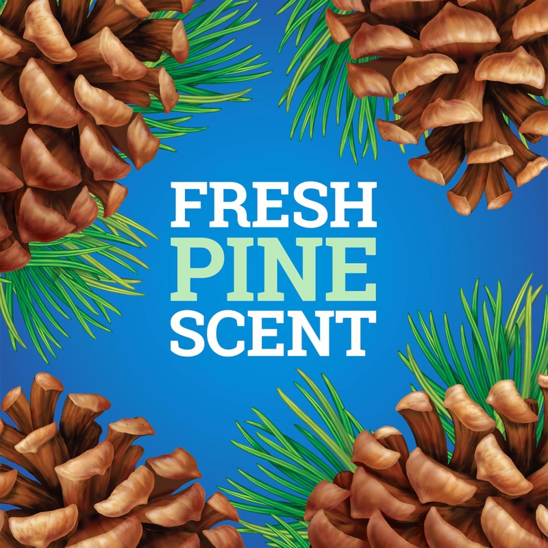 Pine Sol Multi-Surface Cleaner, CloroxPro, 2X Concentrated Formula, All-Purpose Cleaner,