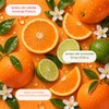 Ginger Lily Farms C and F Formula Shampoo, Citrus Gallon,