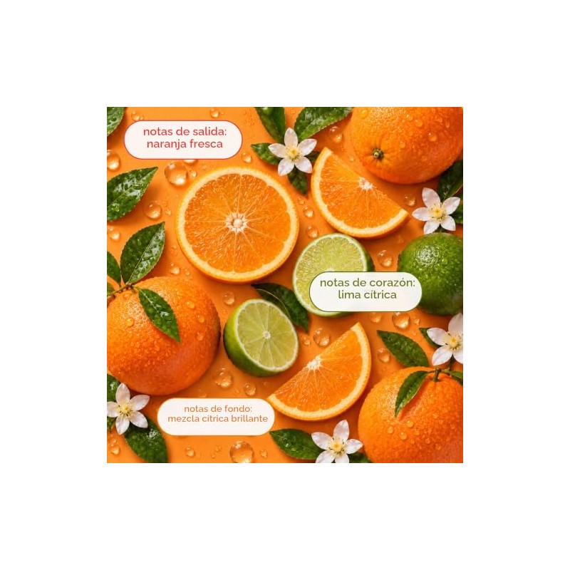 Ginger Lily Farms C and F Formula Shampoo, Citrus Gallon,