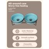 GDCZ Ceramics Raised Cat Bowls with Heighten Metal Stand,15 Ounces