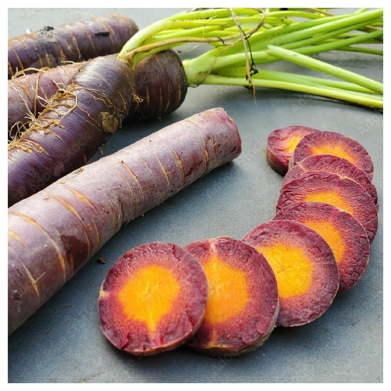 Everwilde Farms - 1 Oz Cosmic Purple Carrot Seeds -