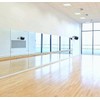Toppay Wall-Mounted Activity Mirror with Flat Polished Edge (1, 48"x32")