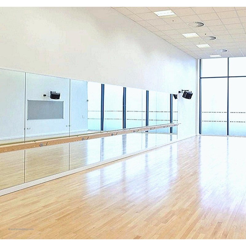 Toppay Wall-Mounted Activity Mirror with Flat Polished Edge (1, 48"x32")