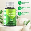 Vitamatic Sugar Free Moringa Gummies - 10000 mg Equivalent per