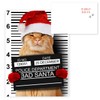 Purrpetrator Santa Cats Holiday Card Assortment Pack / 24 Christmas