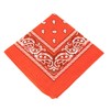 Boolavard 1s, 6s, 9s or 12 Pack Cowboy Bandanas with