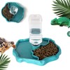 Hyran Turtle Water Dispenser, Turtle Water Bowl and Feeding Basin,