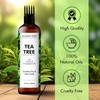 MAJESTIC PURE Tea Tree Oil for Hair | With Argan,