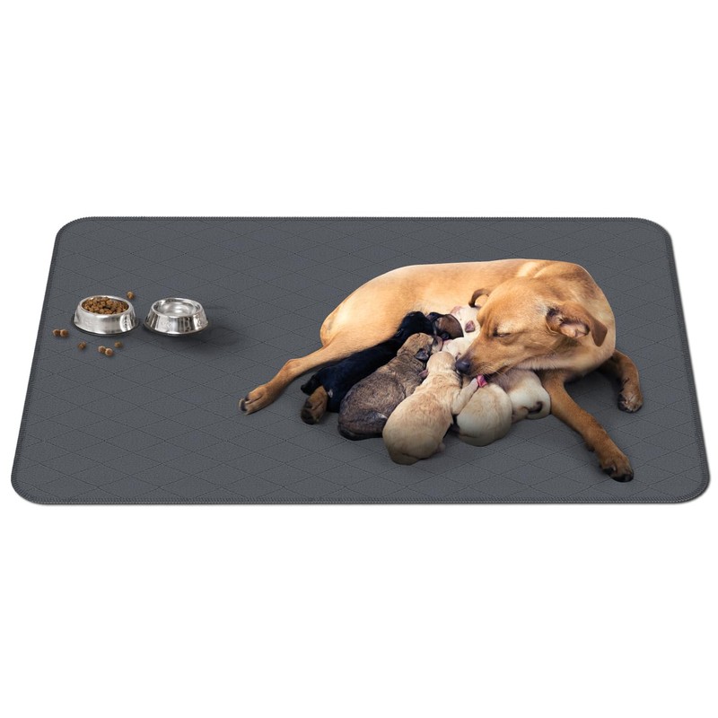 Washable Reusable Dog Pee Pads, 34"x52" Absorbent & Waterproof Puppy