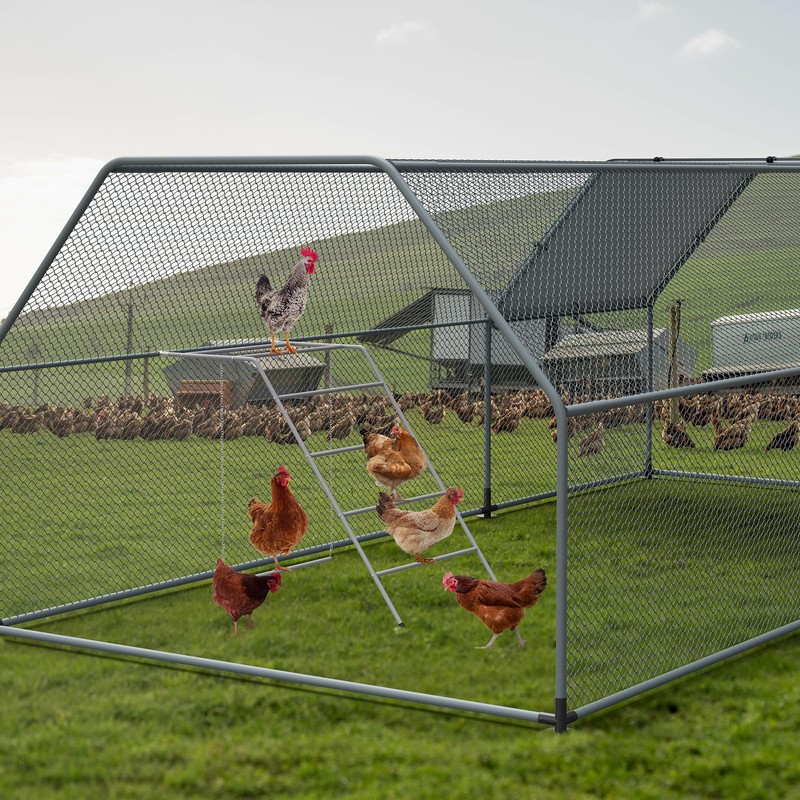 Chicken Perch for Coop with Chicken Swing, Chicken Roosting Bars