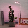 USB Plant Light Angel Ring with Timer Full Spectrum Sunlight