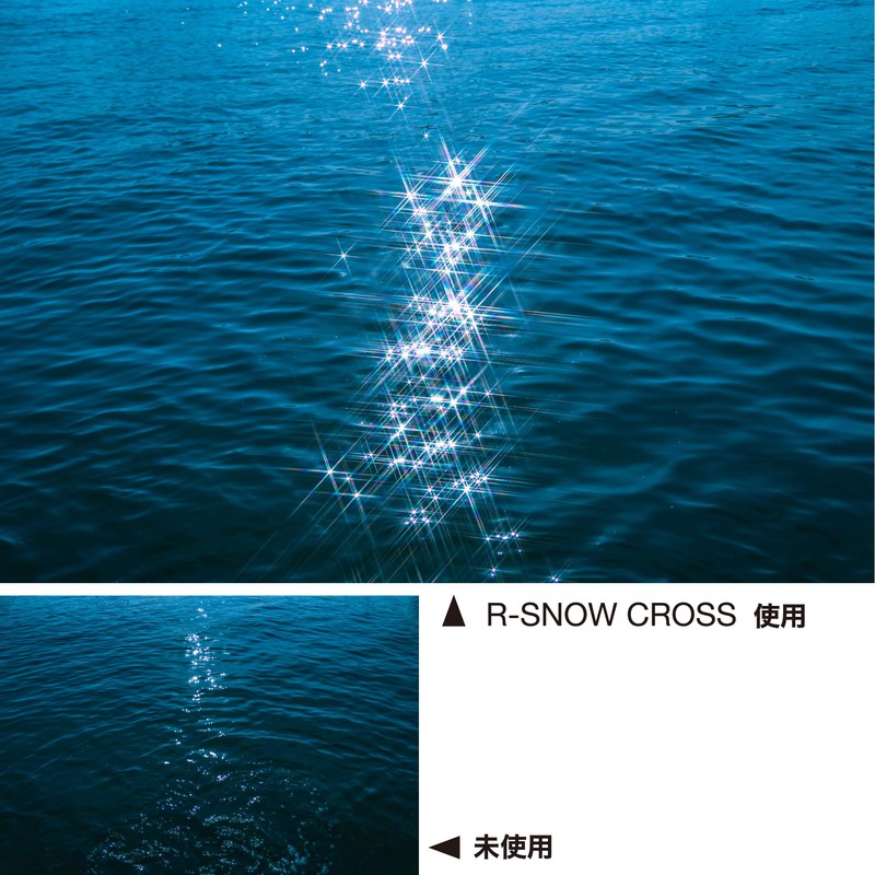 Kenko 825280 PRO1D R-Snow Cloth Filter (W) 1.9 inches (49