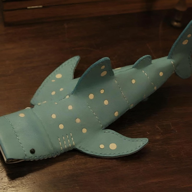 Estuche para anteojos con forma de tiburón, regalo de cumpleaños,