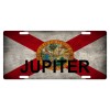 Fast Service Designs Florida State Flag License Plate Metal Sunshine