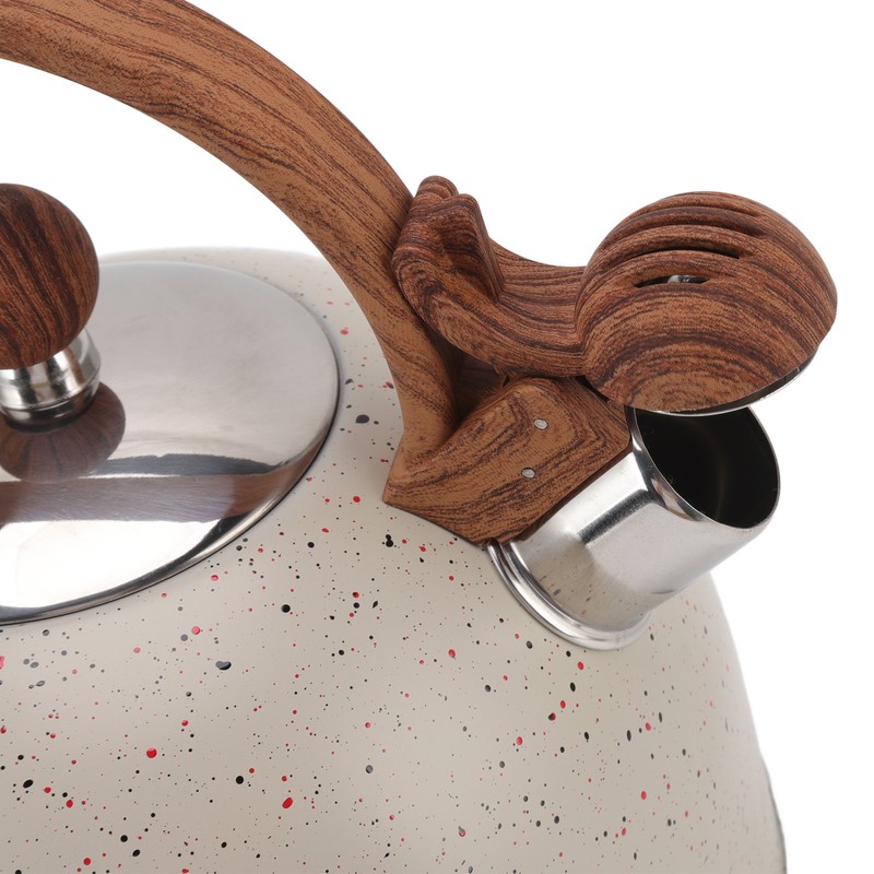 Whistling Kettle 2.5L Capacity Stainless Steel Stovetop Teapot for Water