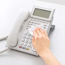 Sanwa Supply CD-WT9KS Wet Wipes (For Disinfectance) 30 Sheets