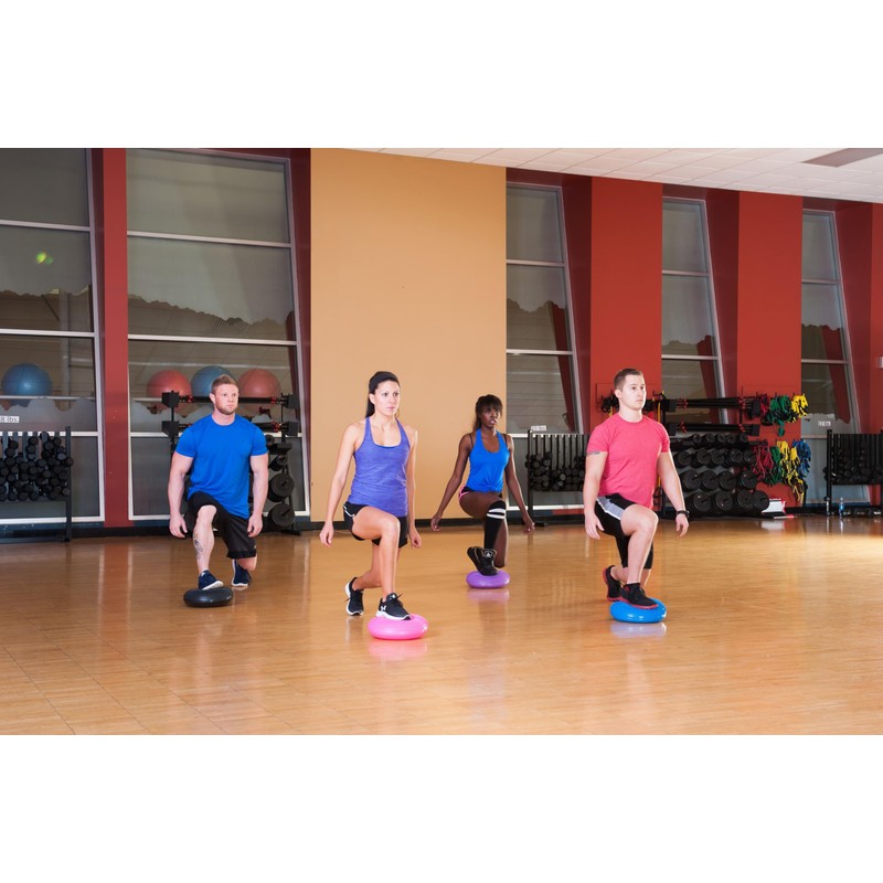 Black Mountain Products Exercise Balance Stability Disc with Hand Pump,