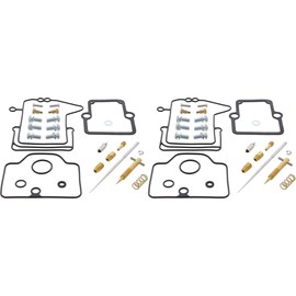 All Balls Racing 26-1873 Carburetor Rebuild Kit Compatible with/Replacement For Ski-Doo Grand Touring 800 2002, Legend 800 2002, MX Z 800 2002, Summit 800 2001