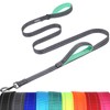 VIVAGLORY Twingrip Dog Leash, Double Handle Dog Leash for Training