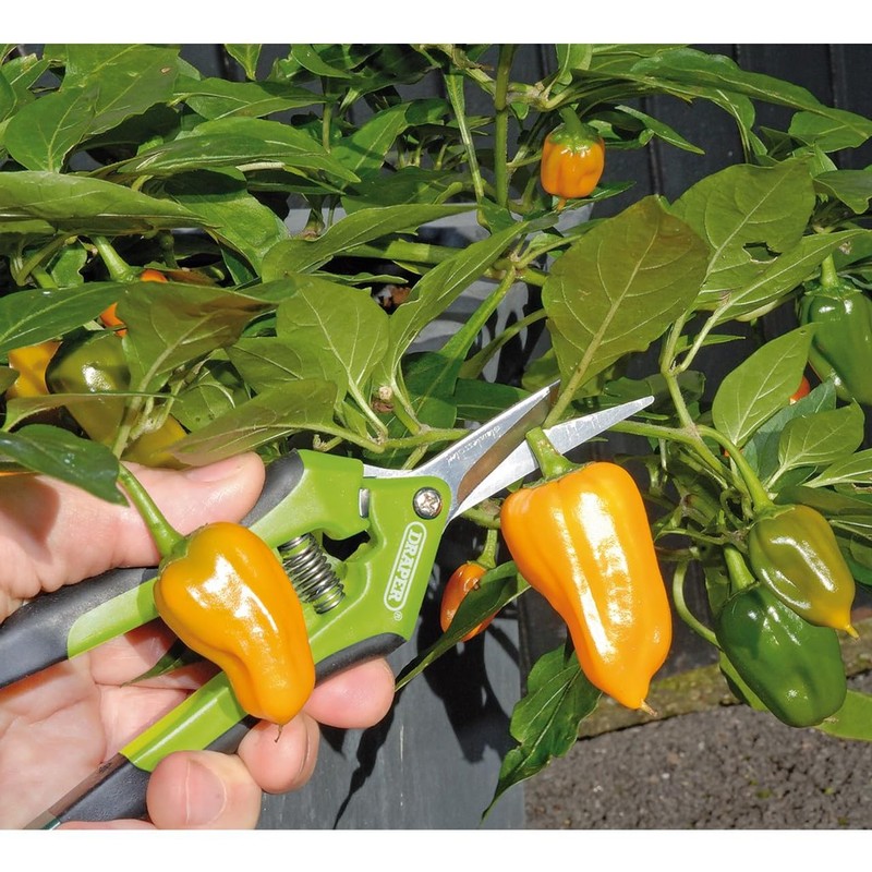 Draper 73729 Precision Curved Pruning Secateurs, 165mm