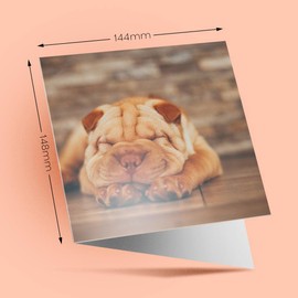 1 x Greeting Card Shar Pei Dog Puppy Animal Pet - Blank Birthday Celebration Anniversary #12680