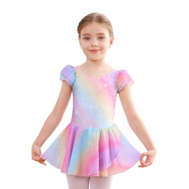 Mecceos Ballet Leotards for Girls Kids Girls Classic Ruffle Sleeve Tutu kirted Leotard Toddler/Little Kid/Big Kid(2-3T，Rainbow-A1