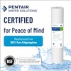 Pentair Pentek DGD-7525-20 Big Blue Water Filter, 20-Inch Whole House