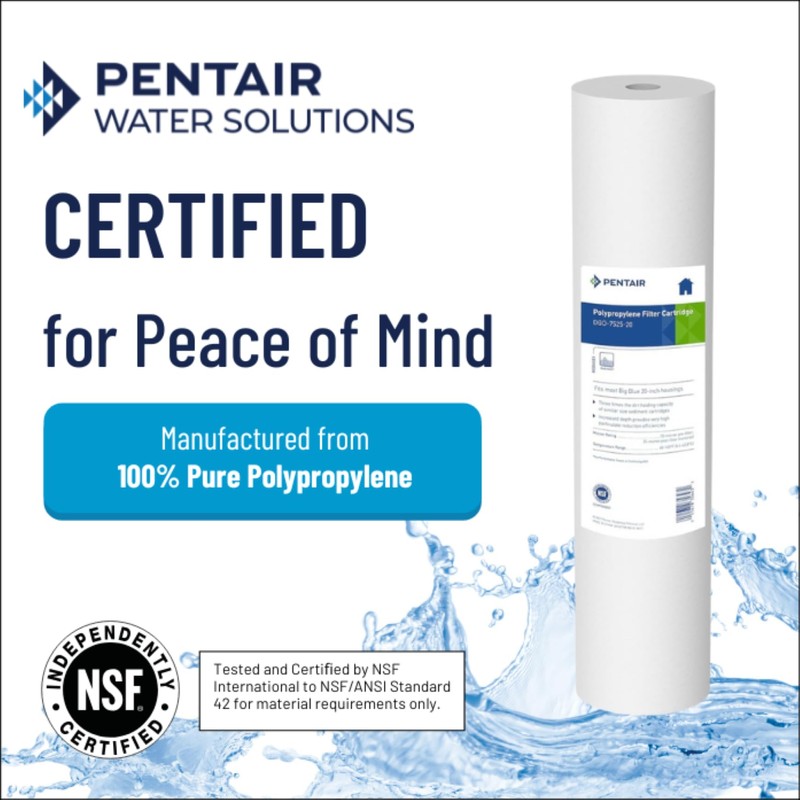 Pentair Pentek DGD-7525-20 Big Blue Water Filter, 20-Inch Whole House