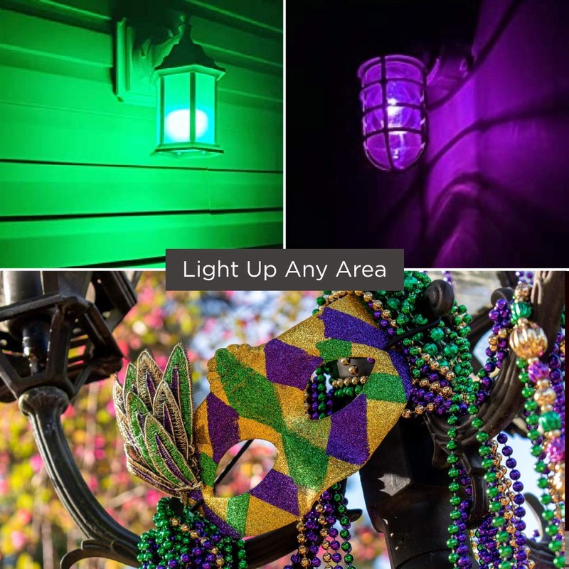 Mardi Gras Light Bulbs - 3 Watt Purple, Green, and