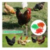300 Bandas Identificación De Pollo Ajustables Con Numerados