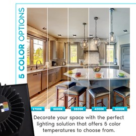 LUXRITE 4 Inch Square LED Recessed Lighting with Junction Box, 15W, 5 Color Selectable 2700K-5000K, 1100 Lumens, 40° Spotlight, Dimmable Downlight, Wet Rated, IC Rated - Black Trim