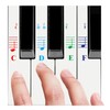 QMG Piano Stickers for All White Keys (49/61/76/88 Key Keyboards)