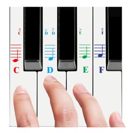 QMG Piano Stickers for All White Keys (49/61/76/88 Key Keyboards) – Bright Colorful Letters, Transparent and Removable, Perfect visual tool for kids and beginners, Key-Top design, Made in USA