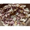 InsideMyNest Dusty Rose, Ivory & Gold Biodegradable Confetti Mix Handmade
