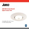 Juno Lighting Group 250 WH BR30 Halogen Open Frame in