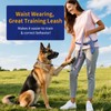 Kazazoo Slip Lead Dog Leash, Hands-free No Pull Training Leash