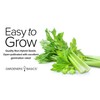 Gardeners Basics, Celery Seeds for Planting - UT 52-70 Variety