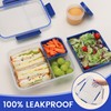 Bugucat Bento Box 1600ML,Lunchbox Salad Lunch Container to Go with