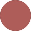 PREANFA PREGEL Muse Color Gel Terracotta 206, 0.1 oz (3