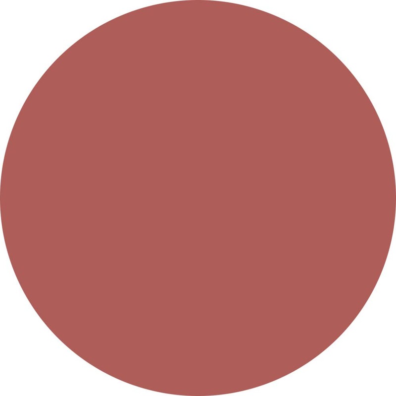 PREANFA PREGEL Muse Color Gel Terracotta 206, 0.1 oz (3