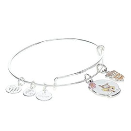 Alex and Ani SpongeBob Sandy Duo Charm Bracelet Shiny Silver One Size
