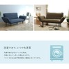 Celtan D01f-612DBL Sofa Cover, For Waraku no Kyoku Dedicated 2
