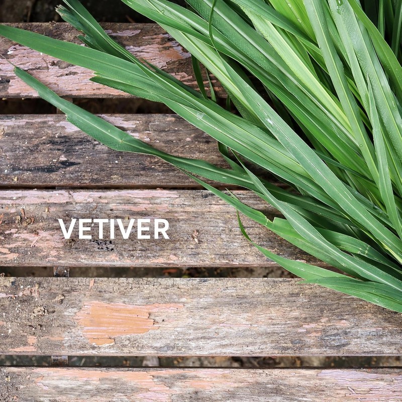 Zermat For Men, Intrepid Experience Fragrance Body Spray, 8.45 Fl.