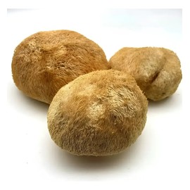 Hongo Melena De Leon 1 Kg.