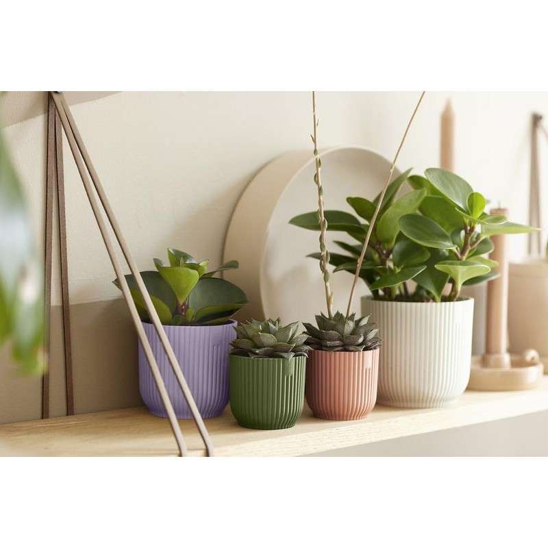 Elho Vibes Fold Round Mini 9cm Vasi per Piante -