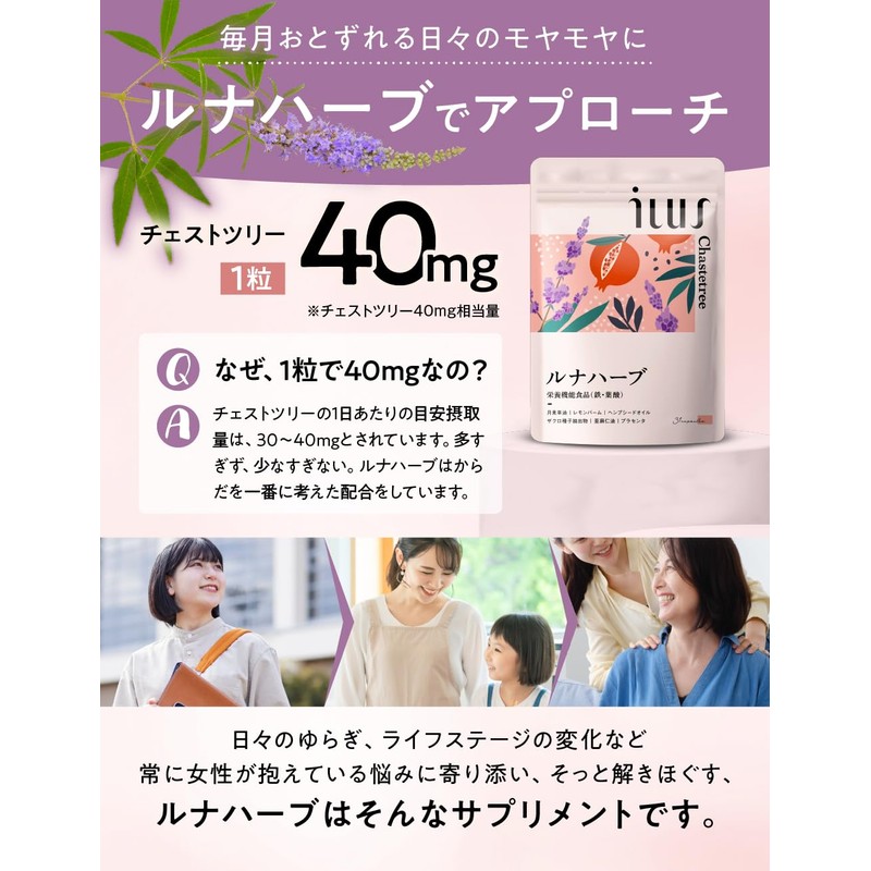 【2袋セット】ILUS ルナハーブ チェストツリーサプリ（チェストベリー） 鉄 葉酸 ハーブ 30日分