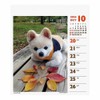 2024 Shunsuke (Weekly Turning Mini) Calendar No. 049