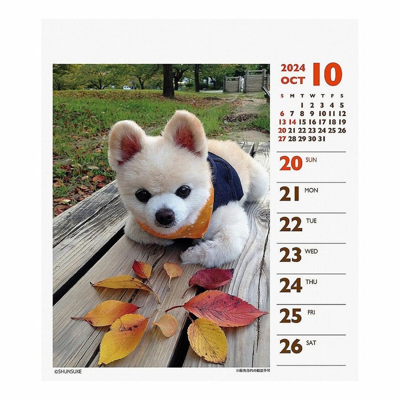 2024 Shunsuke (Weekly Turning Mini) Calendar No. 049