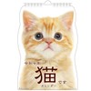 Active Corporation 2025 Calendar Wall Hanging Cat 25ACL-67 Begins January