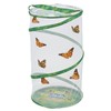 Insect Lore School Kit Refill with 33 Live Caterpillars |